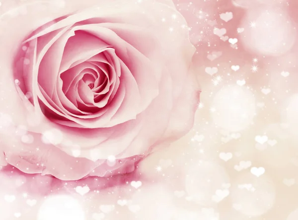 Amor Boda Día San Valentín Con Corazones Rosa Flor Fondo — Foto de Stock