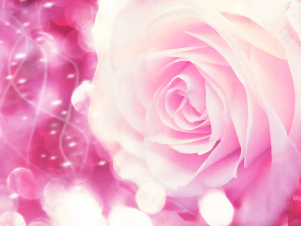 Kwiat Róży Tło Miłość Ślub Karty Rozmycie Światła — Zdjęcie stockowe