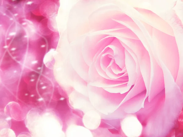 Rose Blume Hintergrund Liebe Hochzeitskarte Mit Unschärfen Lichter — Stockfoto