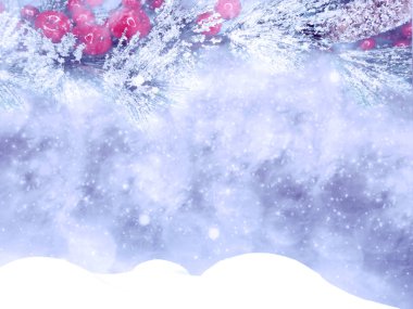 Kış Noel arkaplanında kar köknar dalları donmuş dutlar