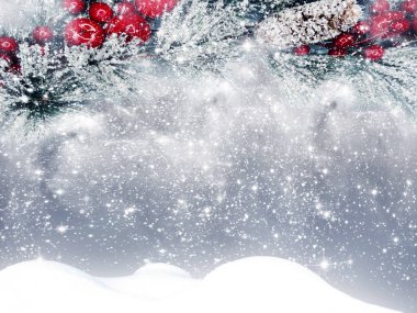Kış Noel arkaplanında kar köknar dalları donmuş dutlar