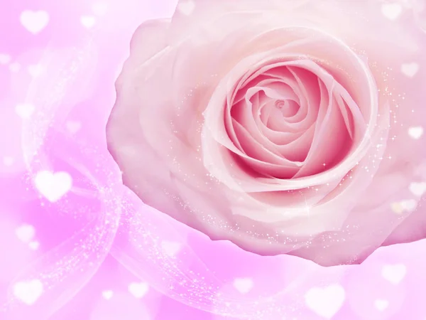 愛心とバラの花の背景にバレンタインの日の結婚式 — ストック写真