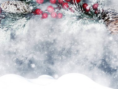 Kış Noel arkaplanında kar köknar dalları donmuş dutlar