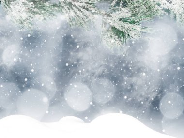 Kış Noel arkaplanında kar köknar dalları donmuş dutlar