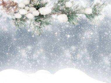 Kış Noel arkaplanında kar köknar dalları donmuş dutlar