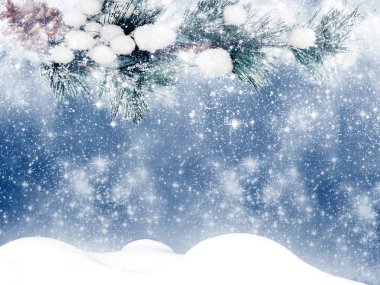 Kış Noel arkaplanında kar köknar dalları donmuş dutlar
