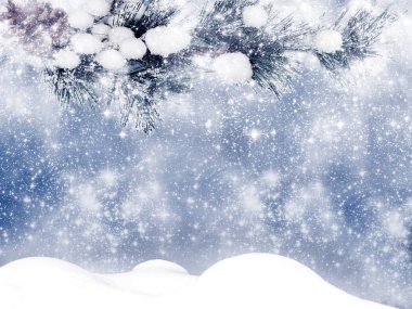 Kış Noel arkaplanında kar köknar dalları donmuş dutlar