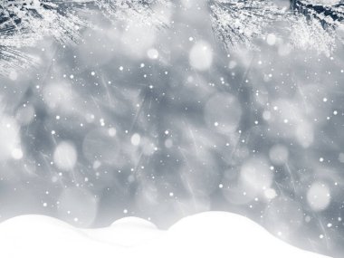 Kış Noel arkaplanında kar köknar dalları donmuş dutlar