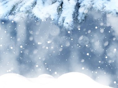 Kış Noel arkaplanında kar köknar dalları donmuş dutlar