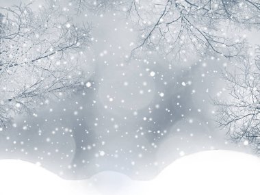 Kış Noel arkaplanında kar köknar dalları donmuş dutlar