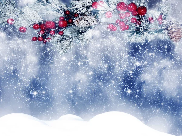 Téli Karácsonyi Háttér Fenyő Ágak Tölcsérek Fagyasztott Bogyók — Stock Fotó