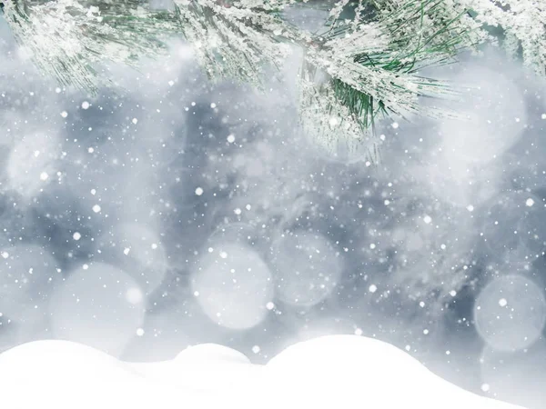 Iarna Crăciun Fundal Ramuri Brad Zăpadă Conuri Boabe Congelate — Fotografie, imagine de stoc