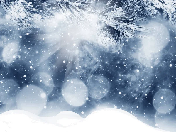Kış Noel Arkaplanında Kar Köknar Dalları Donmuş Dutlar — Stok fotoğraf