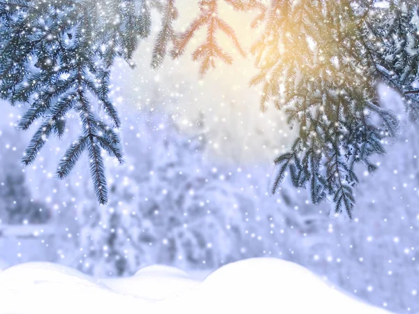 Vinter Jul Bakgrund Med Snö Gran Grenar Koner Frysta Bär — Stockfoto