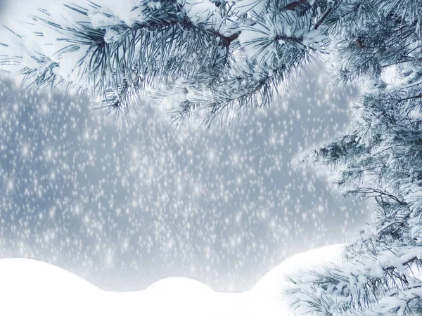 Inverno Sfondo Natale Con Rami Abete Neve Coni Bacche Congelate — Foto Stock