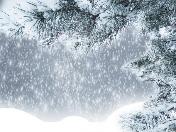 Zimní Vánoční Pozadí Sněhem Jedle Větve Kornouty Zmrazené Bobule — Stock fotografie