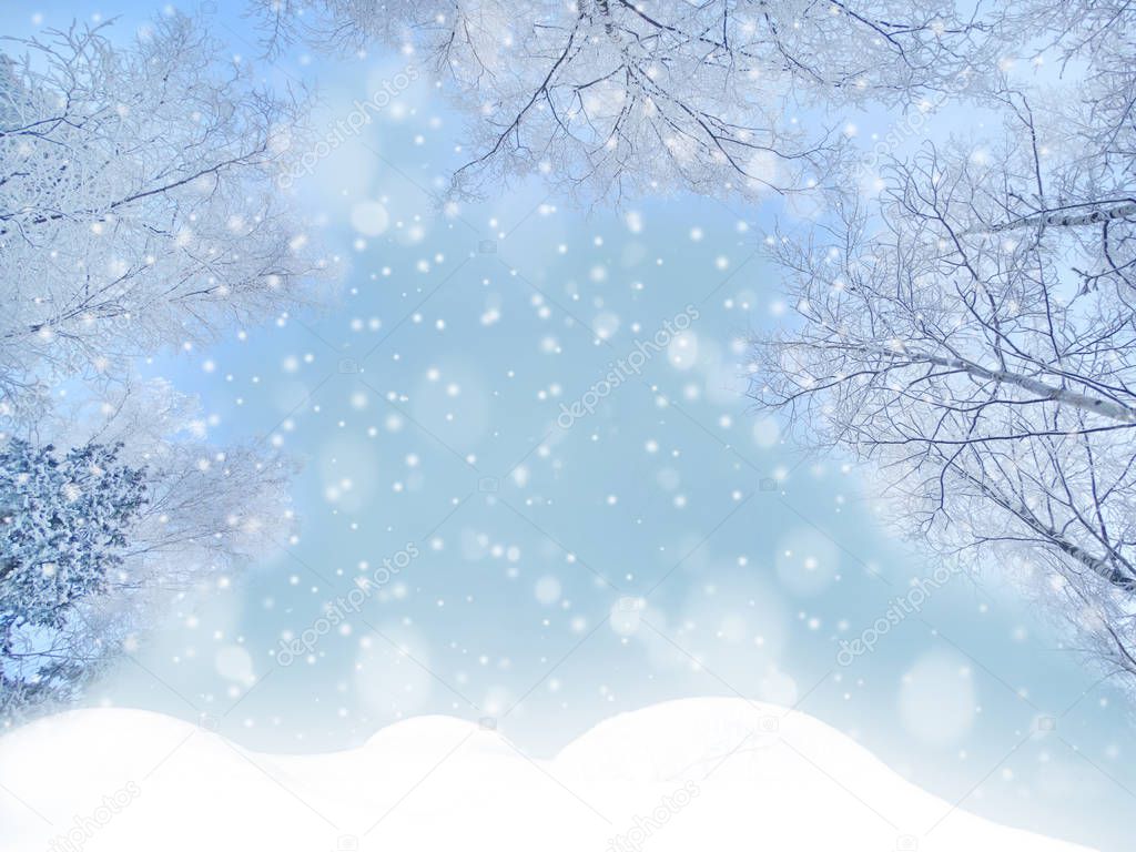 winter christmas background with snow fir branches cones frozen berries