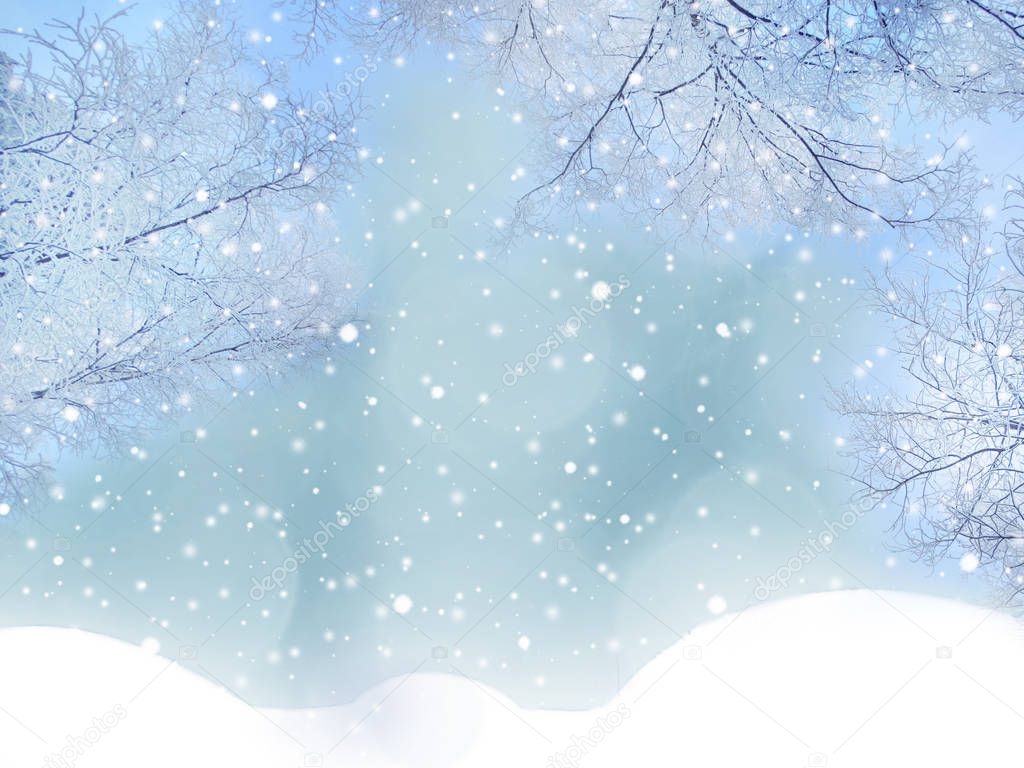 winter christmas background with snow fir branches cones frozen berries