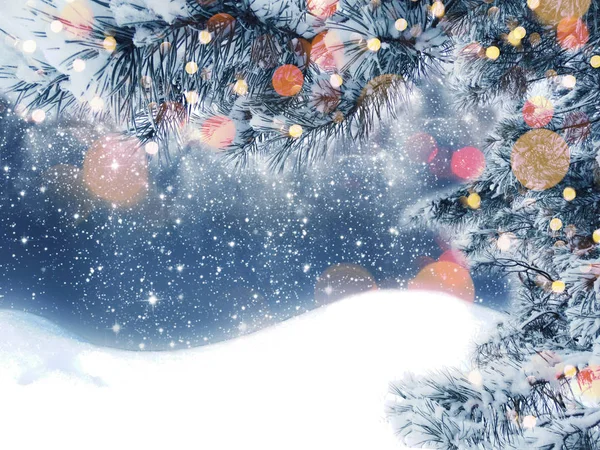 Téli Karácsonyi Háttér Fenyő Ágak Tölcsérek Fagyasztott Bogyók — Stock Fotó