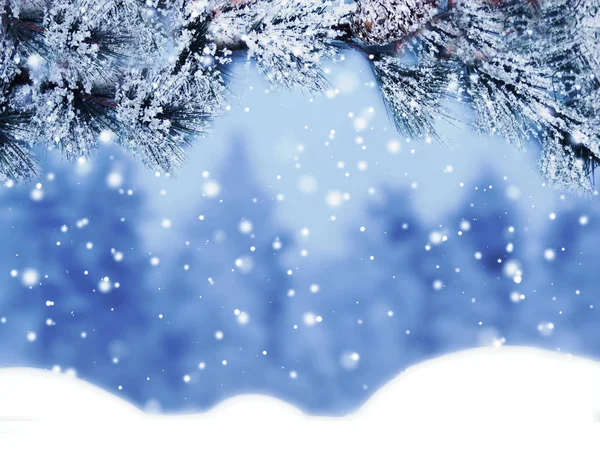 Зимовий Різдвяний Фон Сніговими Ялинами Гілки Шишки Заморожені Ягоди — стокове фото