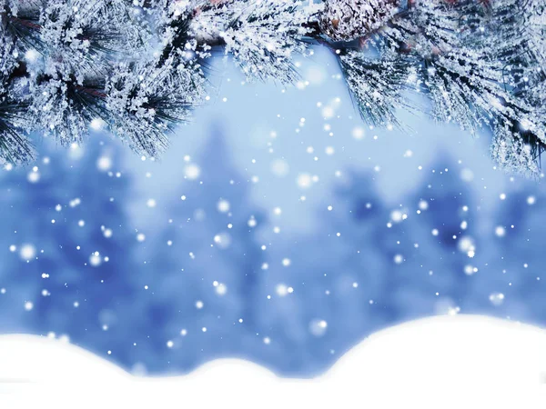 Winter Weihnachten Hintergrund Mit Schnee Tanne Zweige Tannenzapfen Gefrorene Beeren — Stockfoto