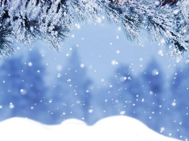 Kış Noel arkaplanında kar köknar dalları donmuş dutlar