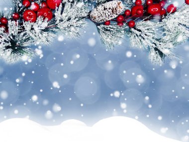 Kış Noel arkaplanında kar köknar dalları donmuş dutlar