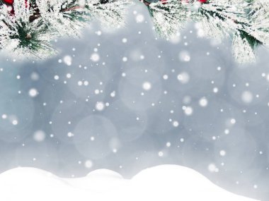 Kış Noel arkaplanında kar köknar dalları donmuş dutlar