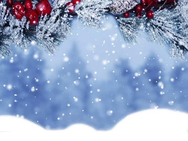 Winter Christmas Background Snow Fir Branches Cones Frozen Berries — Stock Photo, Image