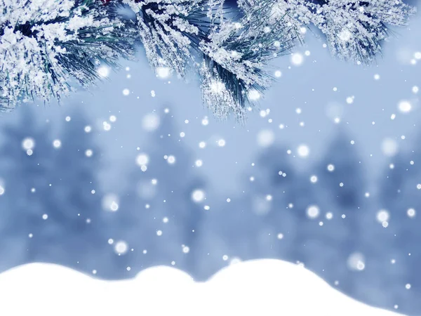 雪のモミの枝コーン冷凍ベリーと冬のクリスマスの背景 — ストック写真