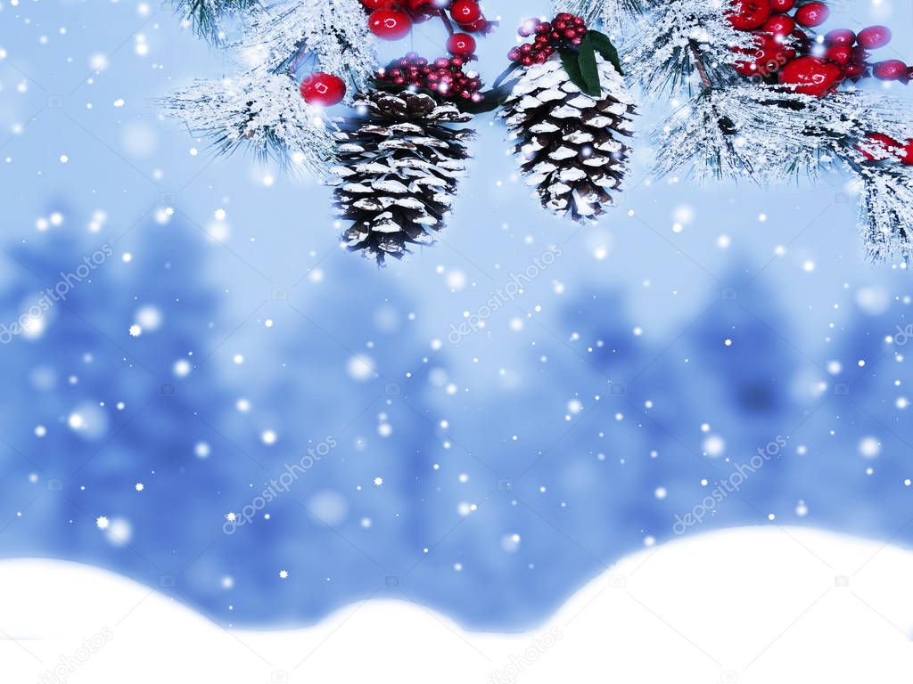 winter christmas background with snow fir branches cones frozen berries