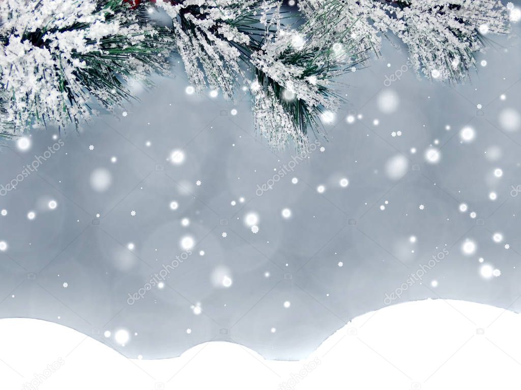 winter christmas background with snow fir branches cones frozen berries