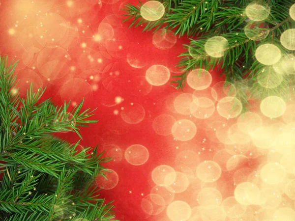 Zweig Des Weihnachtsbaums Winter Hintergrund Mit Girlanden Lichter — Stockfoto
