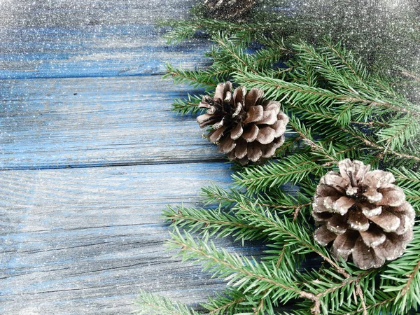 コーンと青い板に雪クリスマス背景モミの木の枝 — ストック写真