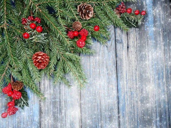 コーンと青い板に雪クリスマス背景モミの木の枝 — ストック写真
