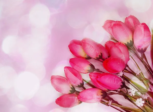 Tulipanes Flores Arbusto Floral Primavera Fondo Tarjeta Felicitación —  Fotos de Stock