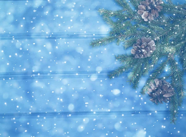 Winterhintergrund mit Tannenzapfen und Schnee — Stockfoto