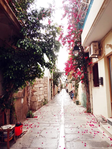 Traditionele straat in Griekenland architectuur met lichte struiken — Stockfoto