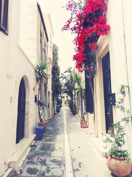 Tradycyjna ulica w Grecji architektury z jasnych krzewów — Zdjęcie stockowe