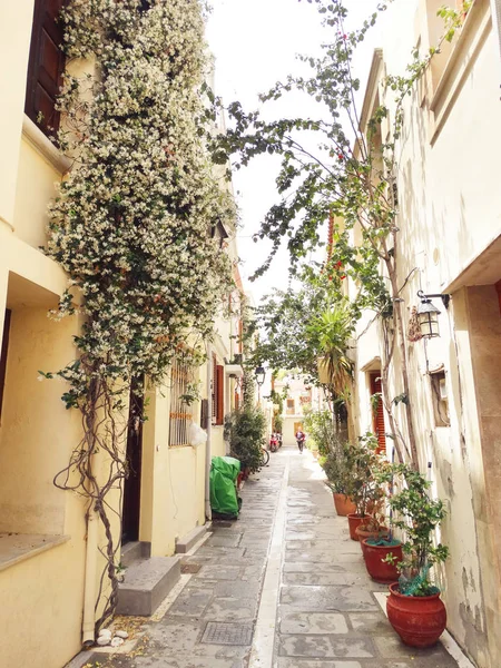 Traditionele straat met heldere bougainvillea in Griekenland — Stockfoto