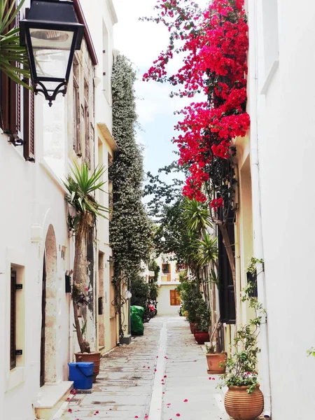 Calle tradicional con buganvillas brillantes en Grecia — Foto de Stock