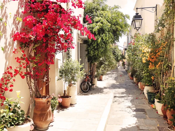 Traditionelle Straße mit hellen Bougainvillea in Griechenland — Stockfoto