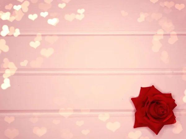 Hjärtan och ros blomma bakgrund alla hjärtans dag kärlek — Stockfoto