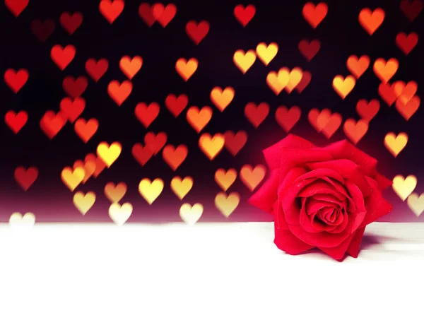 Harten en Rose bloem achtergrond valentine's dag liefde — Stockfoto