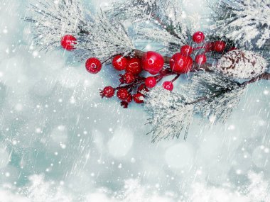 kar koni kış çilek ile Noel köknar ağacı şube