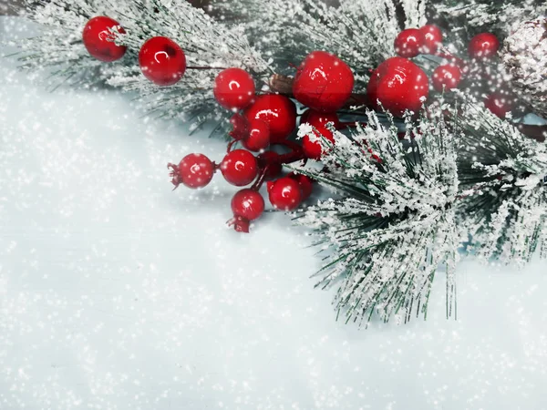 Kerst Fir Tree Branch met kegels winter bessen in sneeuw — Stockfoto
