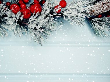 kar koni kış çilek ile Noel köknar ağacı şube