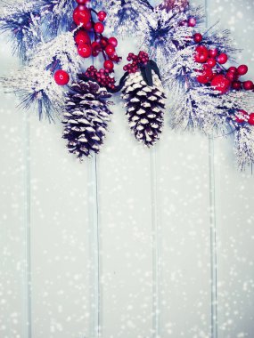 kar koni kış çilek ile Noel köknar ağacı şube