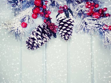 kar koni kış çilek ile Noel köknar ağacı şube