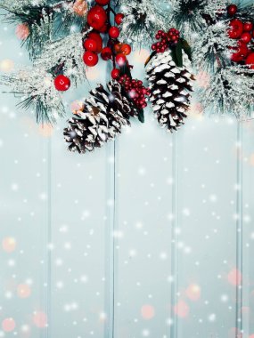 kar koni kış çilek ile Noel köknar ağacı şube